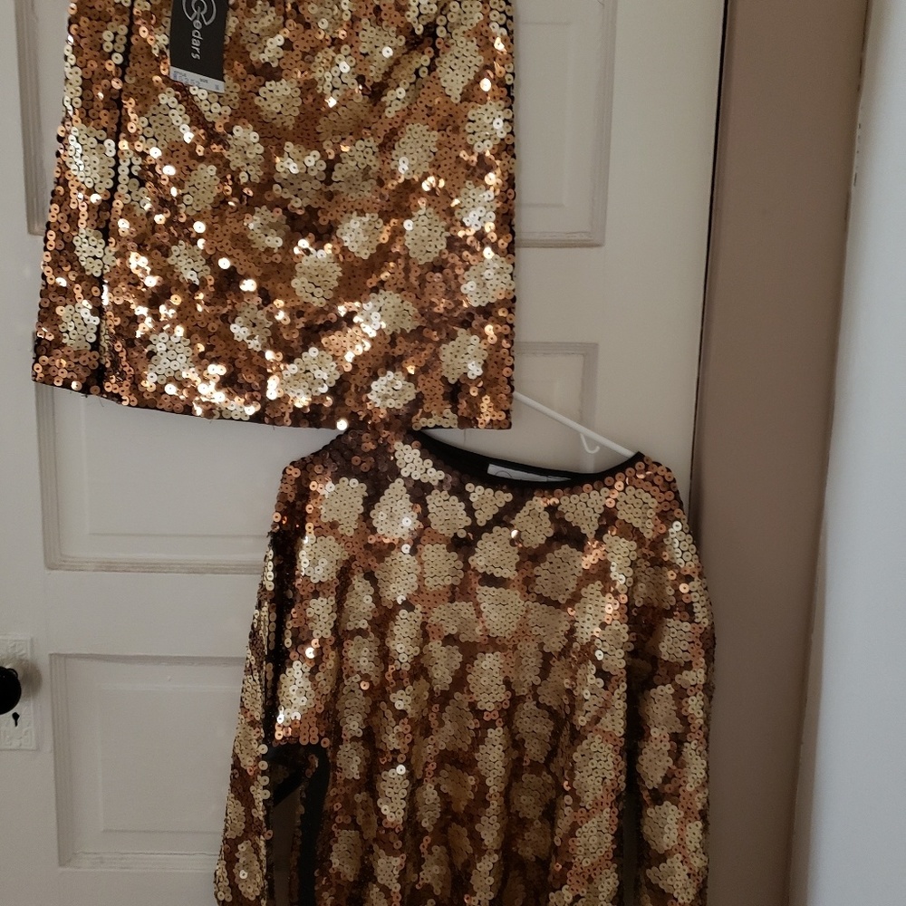 Skirt /shirt set